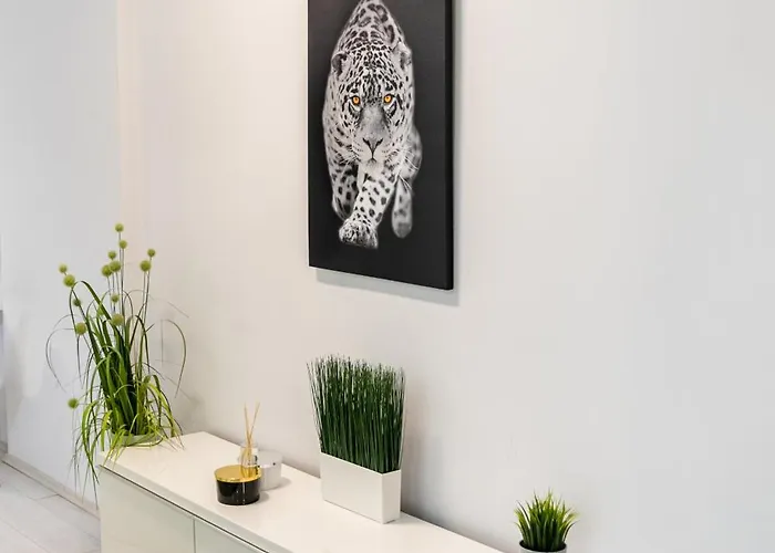 Sunhill Luxury Next Buda Castle Apartman *